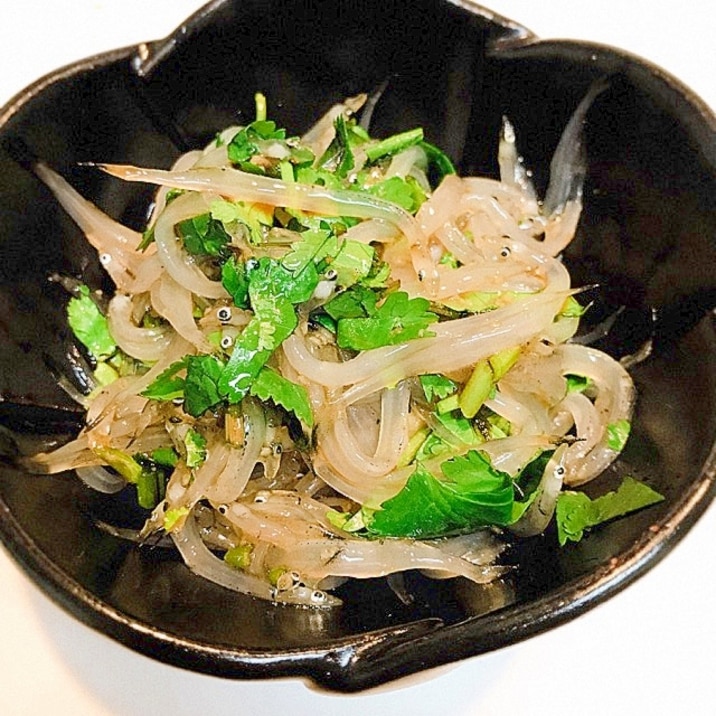 パクチーと白魚の エスニックおつまみ レシピ 作り方 By えだ豆カシューナッツ 楽天レシピ パクチーと白魚の エスニックおつまみ レシピ 作り方 By えだ豆カシューナッツ 楽天レシピ